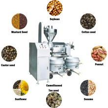 stainless steel automatic coconut oil press machine FR-T15 screw small seed oil cold press machine